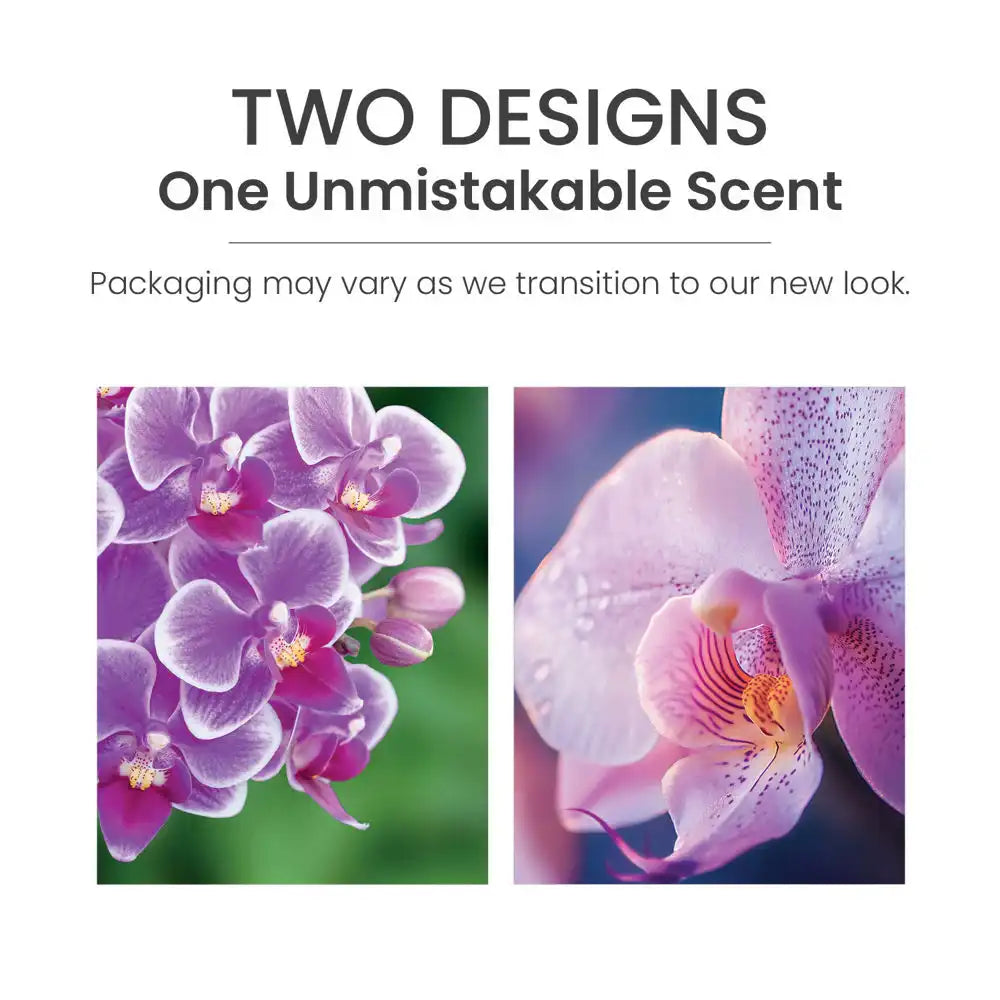 yankeecandlehouse.it.com